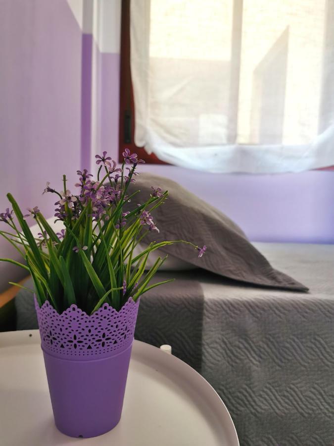 Anais Dreams&Relax Apartment Corralejo Exterior photo